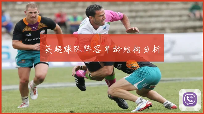 英超球队阵容年龄结构分析